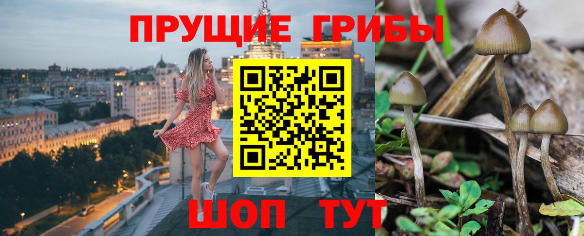 Псилоцибиновые грибы GOLDEN TEACHER  Вход с VPN  Псилоцибиновые грибы ЛСД  Магнитогорск 