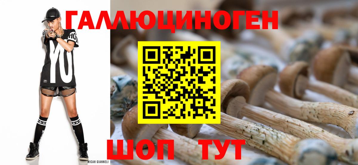 Галлюциногенные грибы Psilocybe Магнитогорск